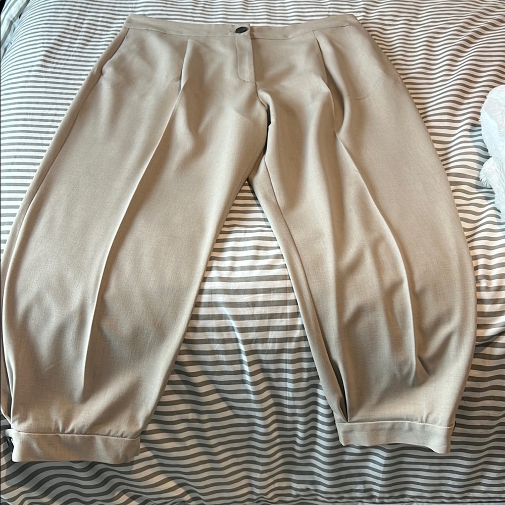 Zara Cropped Ankle Pants in Beige